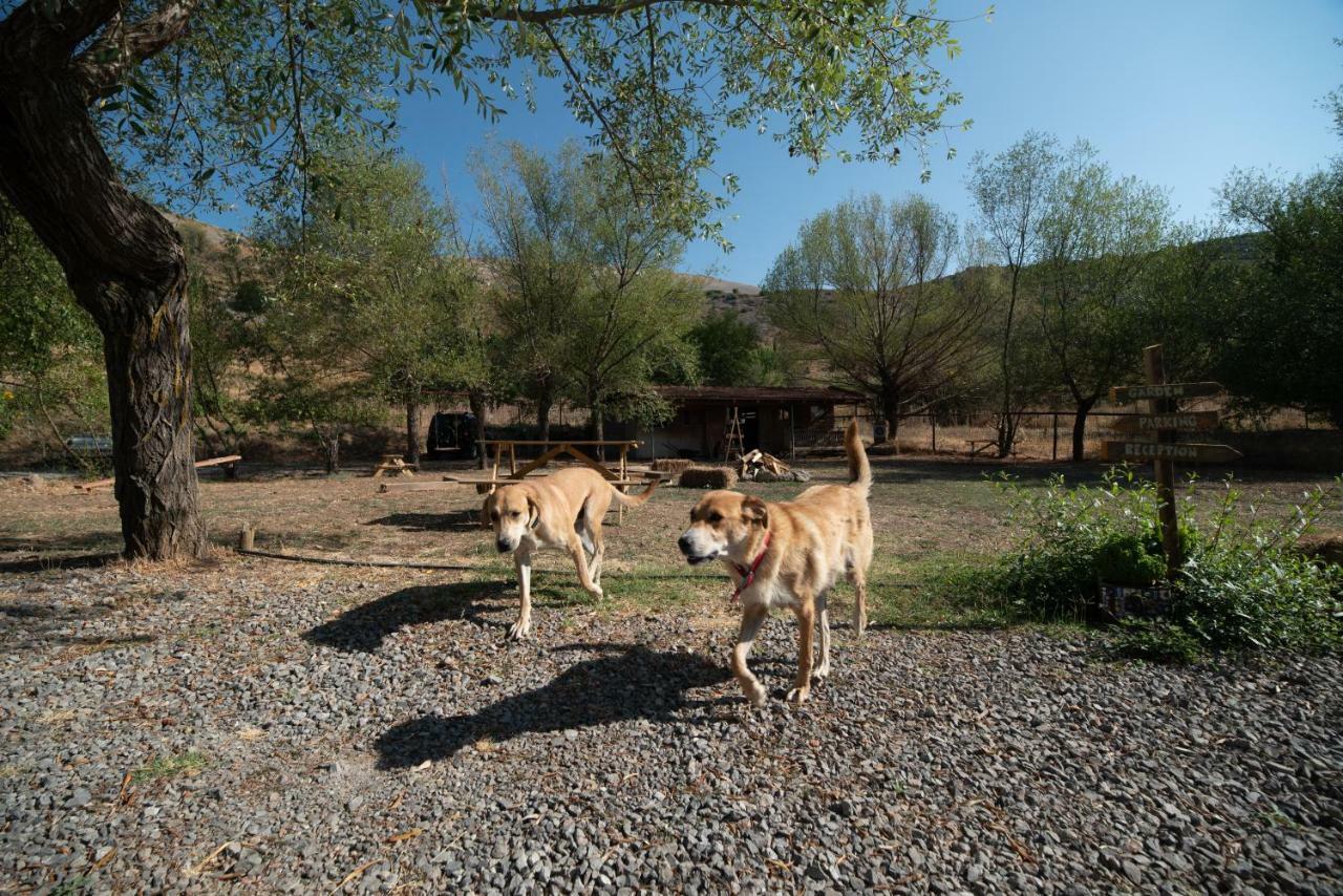Orias Guesthouse & Farm Kalávryta Eksteriør bilde